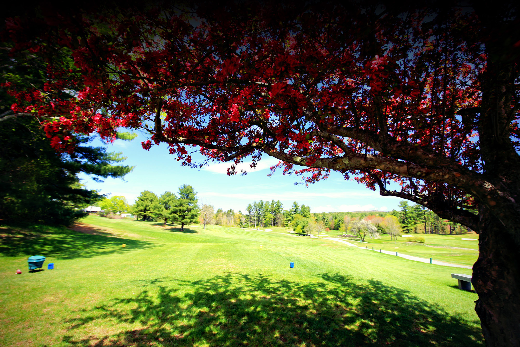 Farmington Country Club (NH)